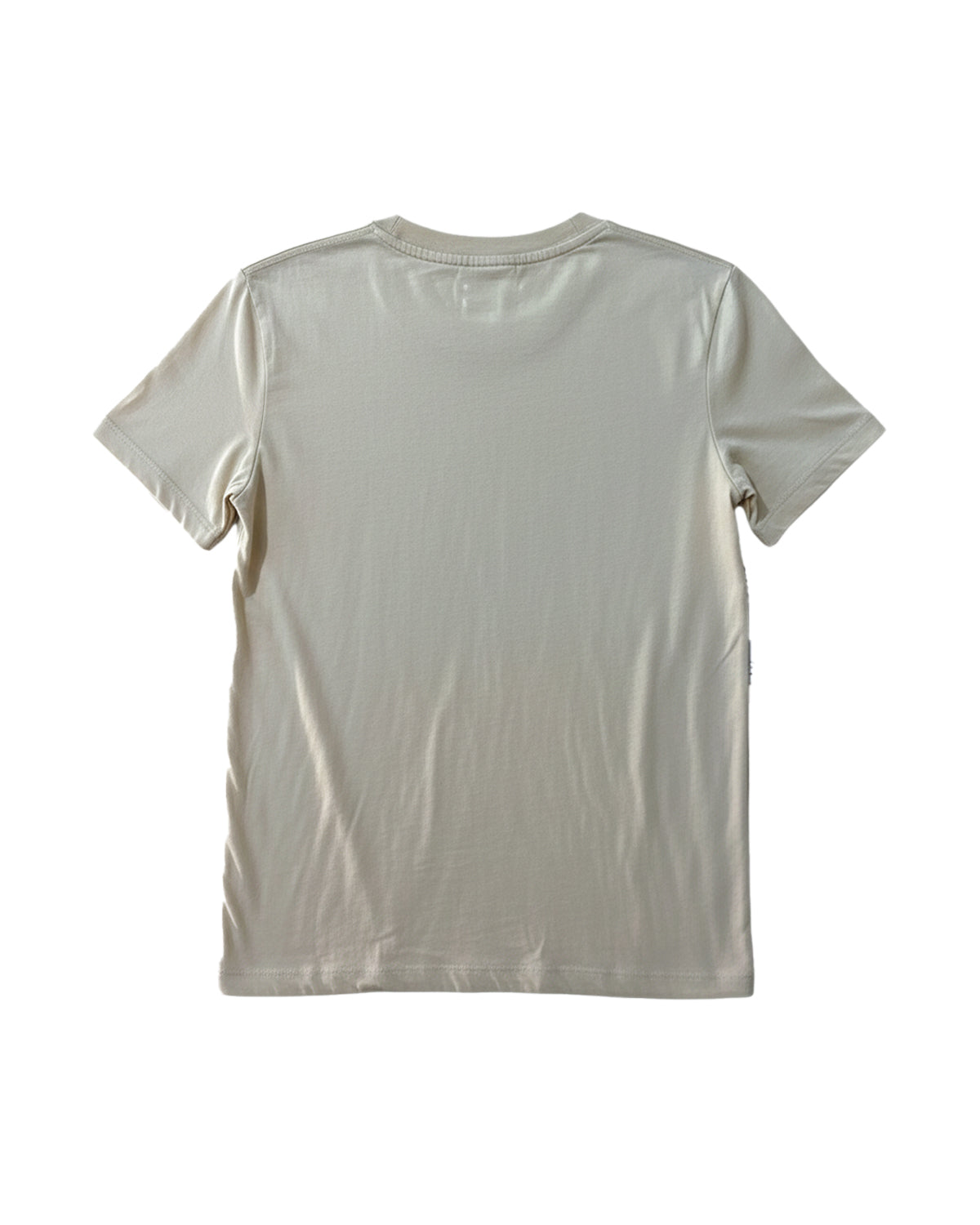 PINK FLOYD BEIGE WOMEN'S T-SHIRT