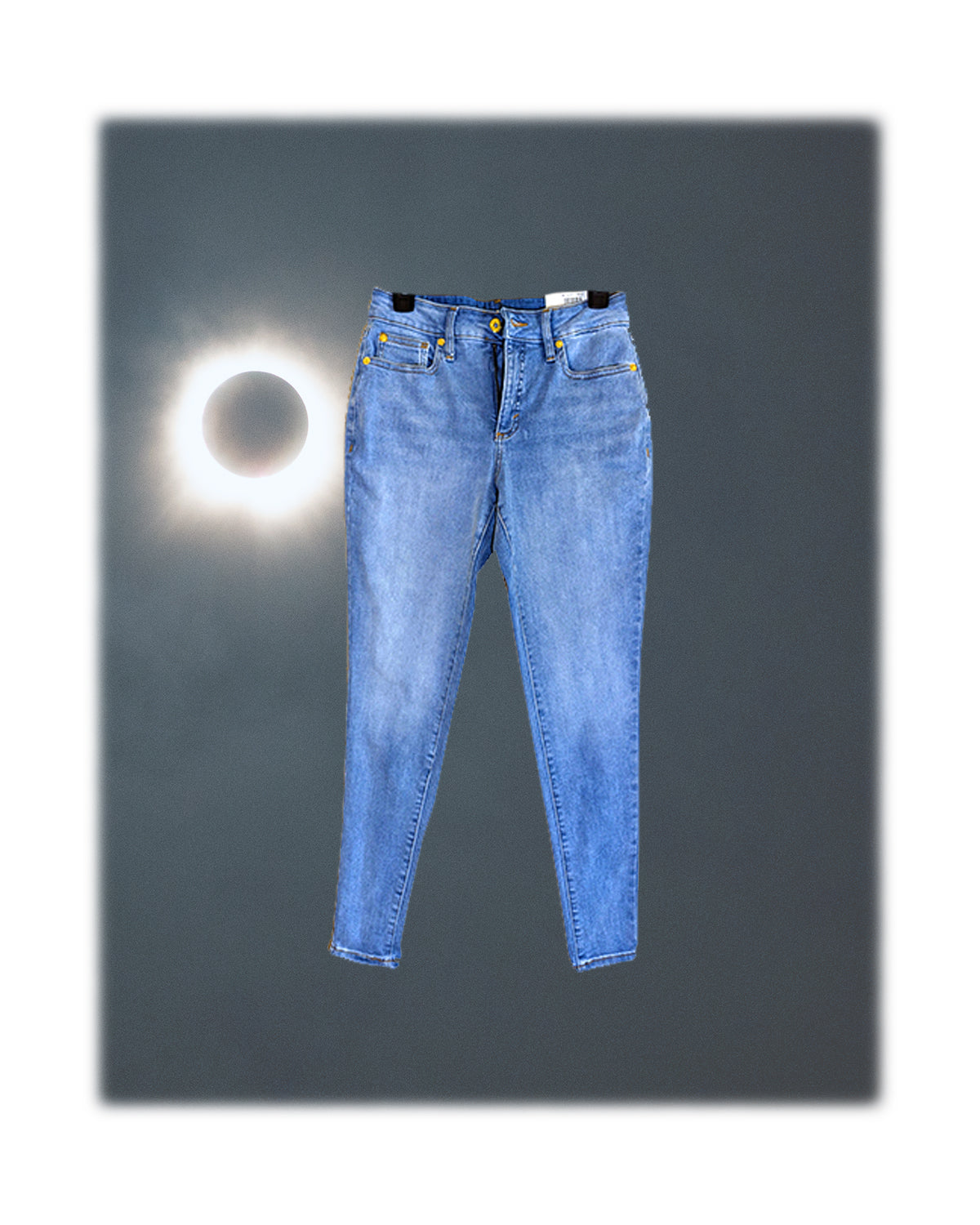 Women's PANTS