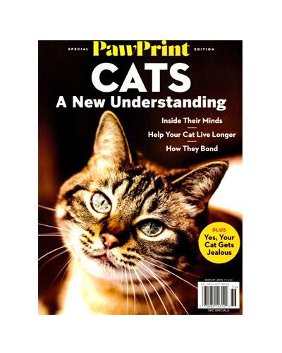 CATS: A NEW UNDERSTANDING (N)