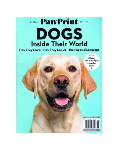 DOGS: INSIDE THEIR WORLD (N)