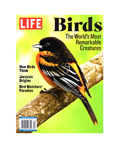 BIRDS (N)