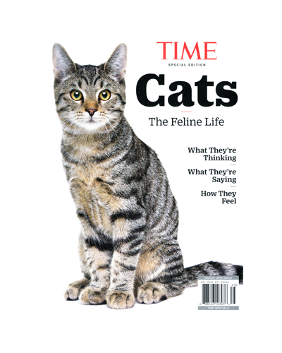 CATS THE FELINE LIFE (N)