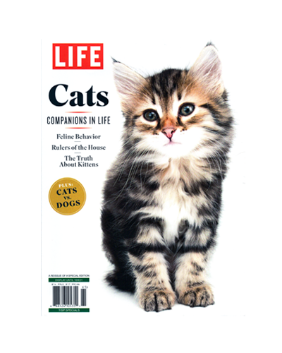 CATS: COMPANIONS IN LIFE (N)